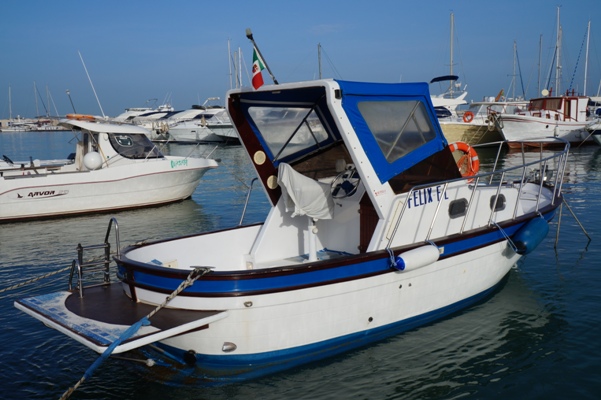 amelia 710